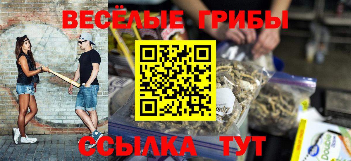 Псилоцибиновые грибы ЛСД Сертолово
